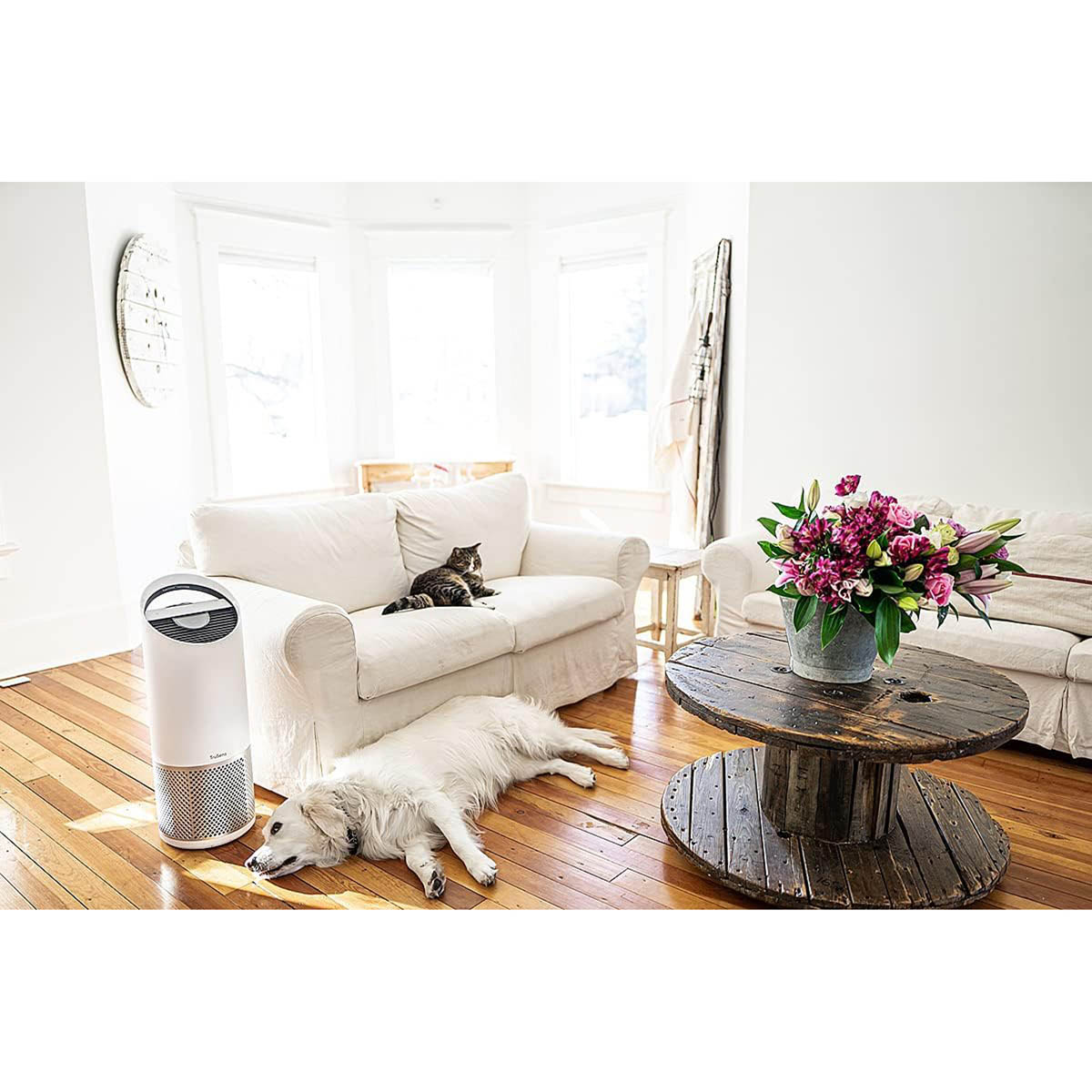 Leitz TruSens Air Purifier Z-2000 With SensorPod Air Quality Monitor White - Image 8