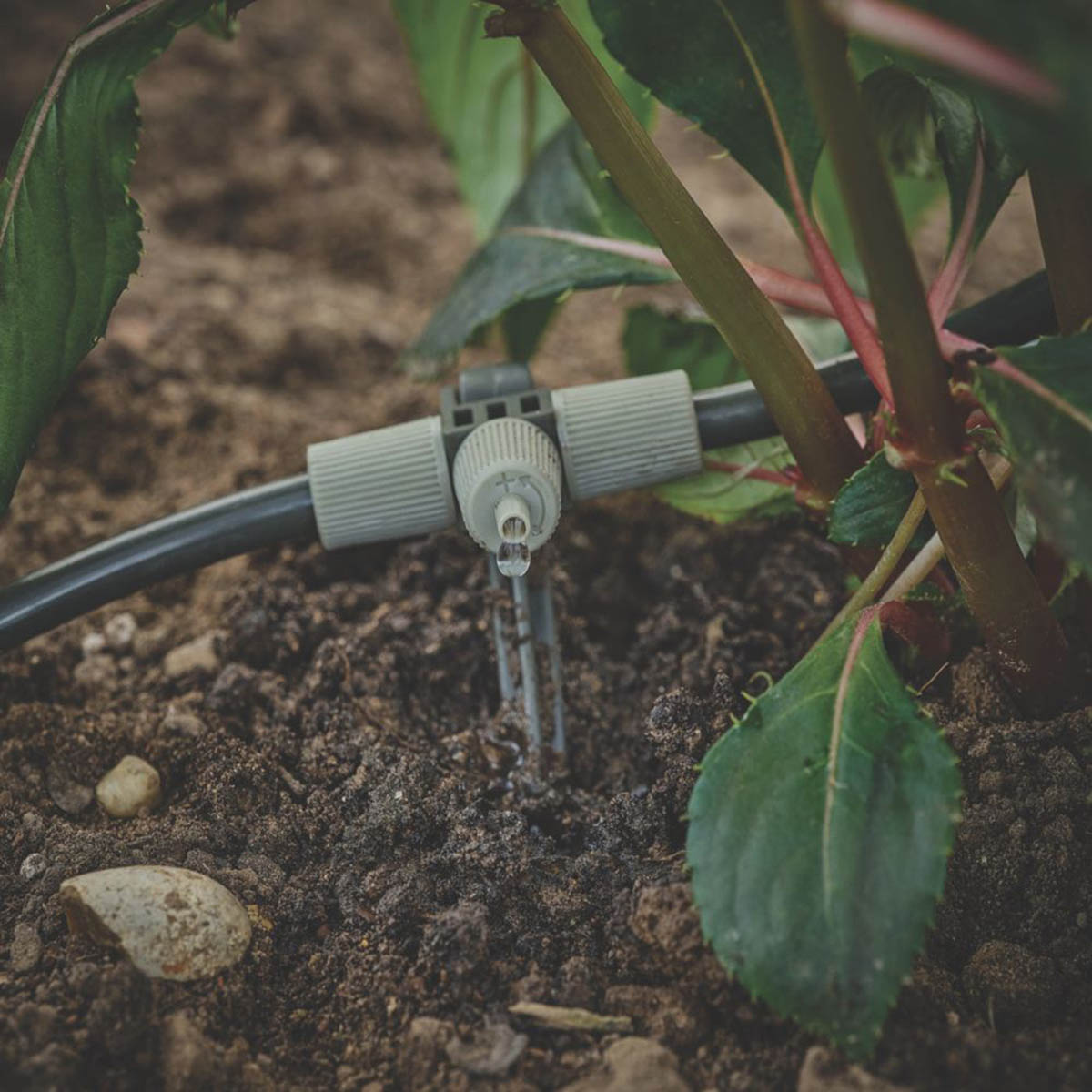 Verve Irrigation Kit Garden Drip Watering 4 Way Connector Flow Control 91 Pcs - Image 5