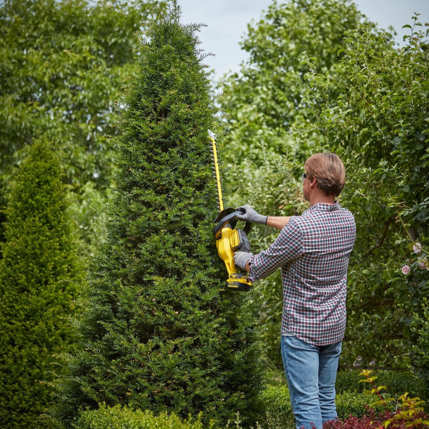 Stanley Pole Hedge Trimmer Cordless 18V 4Ah Li-Ion SFMCHT855M1-GB 55cm Cutter - Image 2