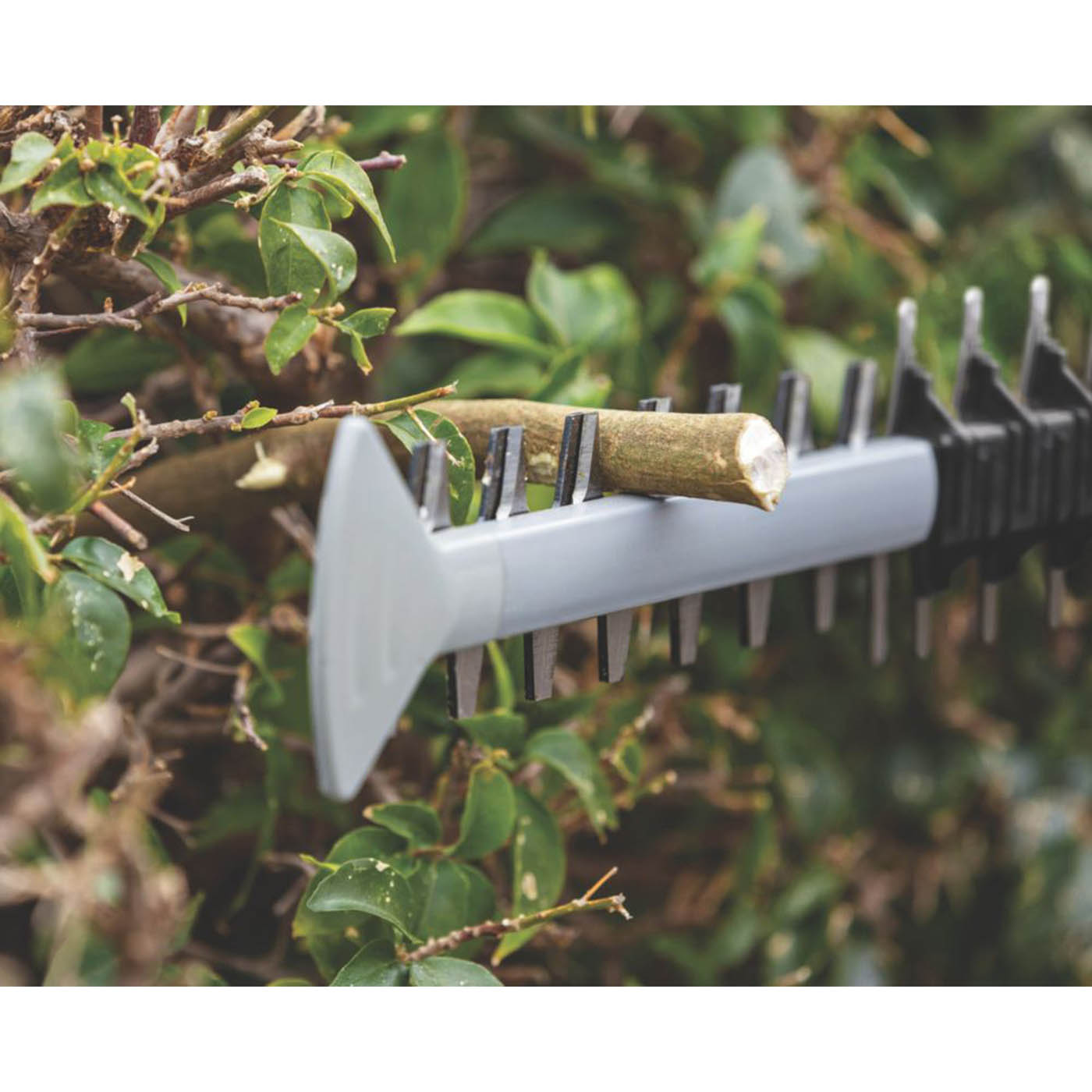 Bosch Hedge Trimmer Cordless 18V Li-Ion GHE18V-50Professional 50cm Body Only - Image 5