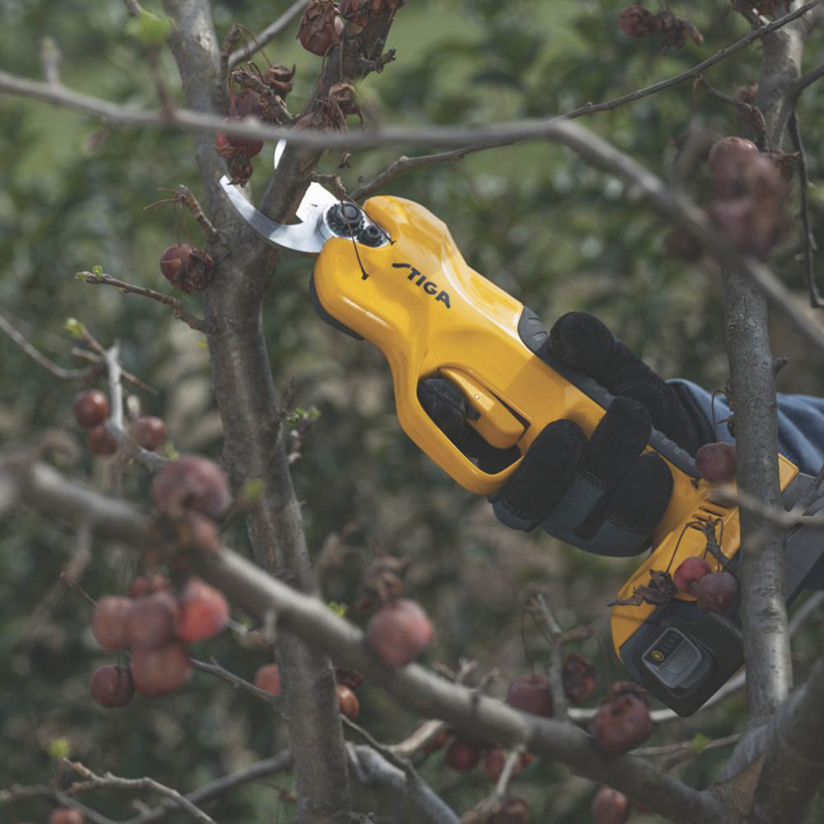 Stiga SP 100e 20V 1 x 2.0Ah Li-Ion E-Power  Cordless Pruning Saw & Shears Kit - Image 5