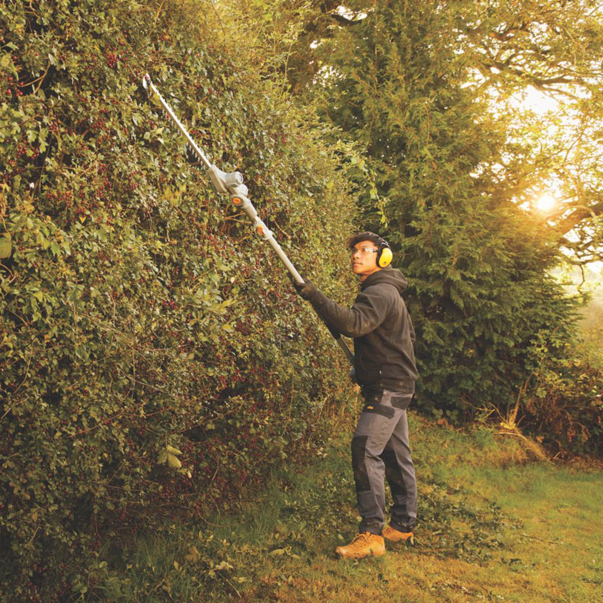 Titan Pole Hedge Trimmer Cordless 18V Li-Ion TXP Lightweight - Body Only - Image 2